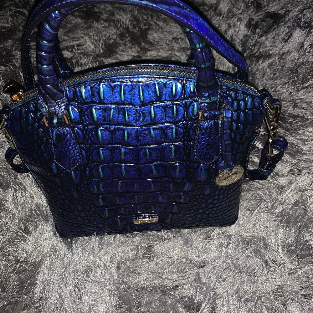 Brahmin bag💙💚